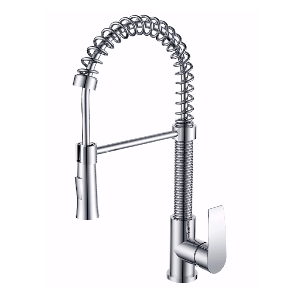 Coil Spring Kitchen Faucet KF700BN
